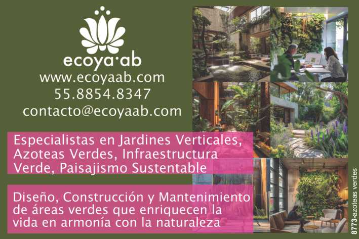 Especialistas en Jardines Verticales, Azoteas Verdes, Infraestructura Verde, Paisajismo Sustentable. Diseño, Construccion y Mantenimiento de Areas Verdes en armonia con la naturaleza. Especialistas en Jardines Verticales, Azoteas Verdes, Infraestructura Verde, Paisajismo Sustentable. Diseño, Construccion y Mantenimiento de Areas Verdes en armonia con la naturaleza.